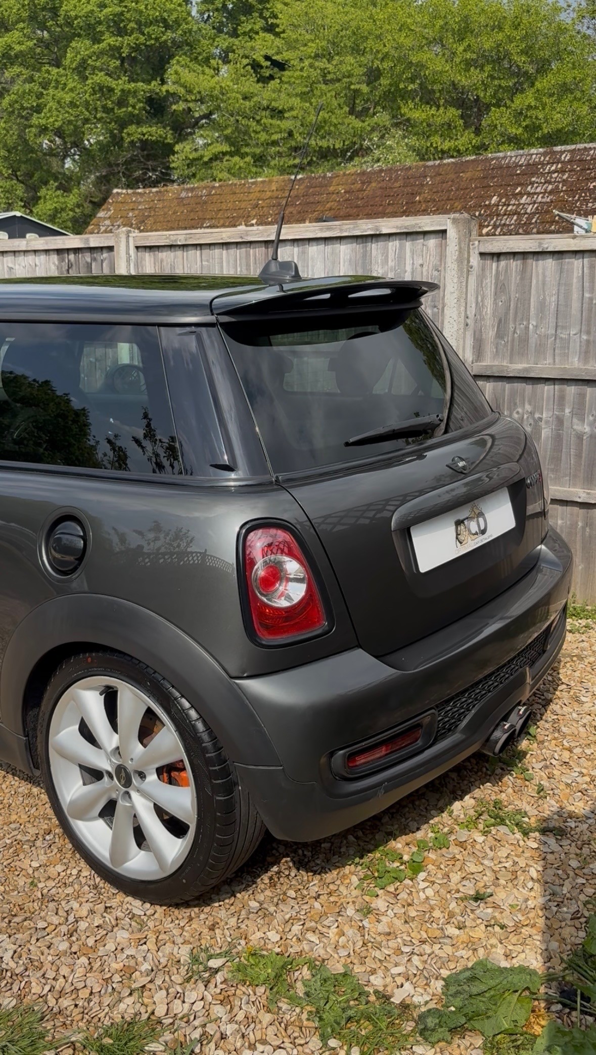 Mini Cooper — rear after exterior wash and polish